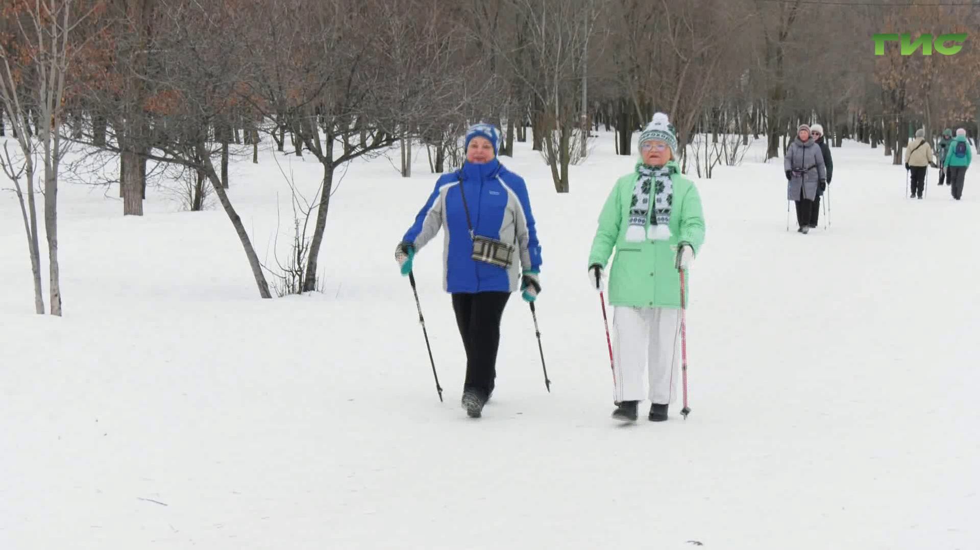 Самарские пенсионеры поддерживают форму скандинавской ходьбой смотреть онлайн