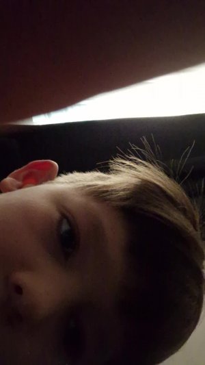 играю в папку грени