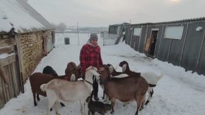 21 янв. Утренний кофе и дела житейские