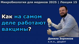 Иммунопрепараты: вакцины и антительные препараты