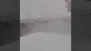 telegram-cloud-document-2-5424597785666161476