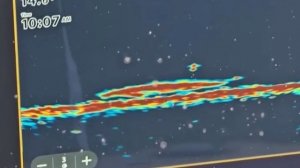 VID_20260120_213354_185