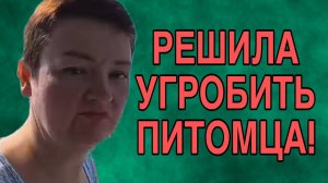 РЕШИЛА УГРОБИТЬ ПИТОМЦА. ПИРАТСКАЯ ЖИЗНЬ. ОБЗОР.