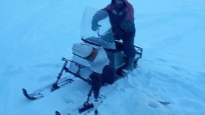 мотобуксировщик своими руками мотособака тест драйв как ездить