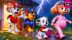 Щенячий патруль и Маршалл. Залипательное видео. Мультфильм для детей и малышей. Анимация 98