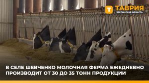 В селе Шевченко молочная ферма ежедневно производит от 30 до 35 тонн продукции