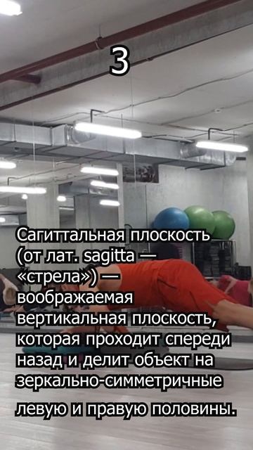 Сагиттальный степ. Функциональный тренинг.