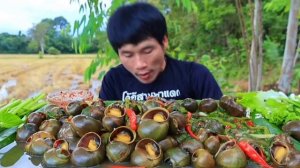 МУКБАНГ Улитки с соусом из Чили и рисом! Очень вкусно😋