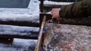 Немного видео на столах!!!