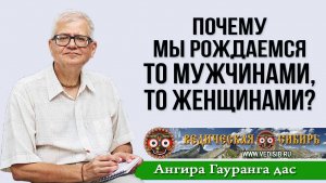 Почему мы рождаемся то мужчинами, то женщинами?
