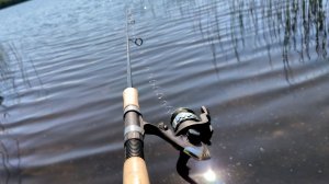 В тепле и уюте: в Казахстане запустили сервис рыбалки «на удаленке»