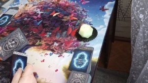 О чём Вам нужно знать 🕵️❓🐀🪞⚖️