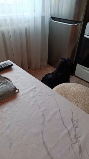 Хочу пожрать 🥺