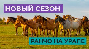 РАНЧО НА УРАЛЕ | КОНЕВОДСТВО АБОРИГЕННОЙ ЛОШАДИ | НОВЫЙ СЕЗОН 2025