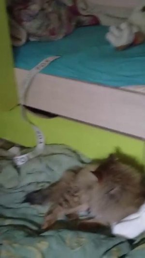 всё всё всё