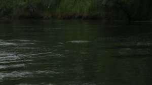 Дом лосося_1080_Рекламный ролик