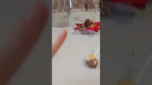 Извините пж что так шумно