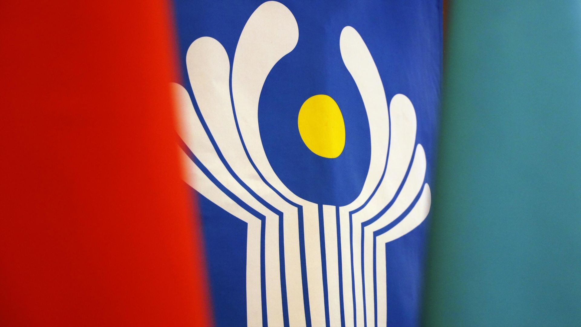 Международный год добровольцев: какой вклад внесут волонтеры стран СНГ смотреть онлайн