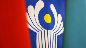 Международный год добровольцев: какой вклад внесут волонтеры стран СНГ