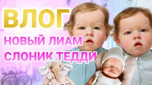 ВЛОГ шью бортики | Новый Лиам | Запаковка Оливии | Слоник Тедди Дейзи | Подарок от Арины Лав
