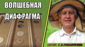 Волшебная диафрагма. Как 100 лет назад получали по 150 - 200 кг. мёда с одного улья.