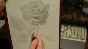 Рисуем за семь дней День 5 Роза