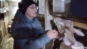 22-01-2026 Как же я по ним скучала.