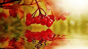 Моя любовь жива.