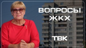 Крысы погрызли провода в машине – что делать? / «Вопросы ЖКХ»