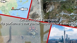 Китай. Город Гуанчжоу. На рыбалке с лягушкой, черепахой и вьюном.