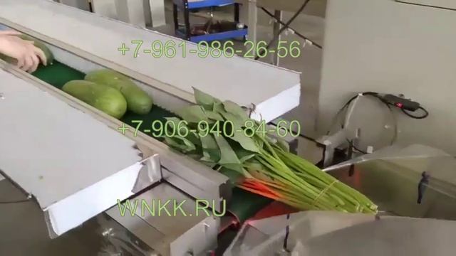 Универсальная флоу-упаковочная машина TGK-17 смотреть онлайн