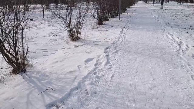 влог обо всём смотреть онлайн