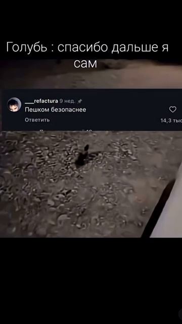 Маршрут построен смотреть онлайн