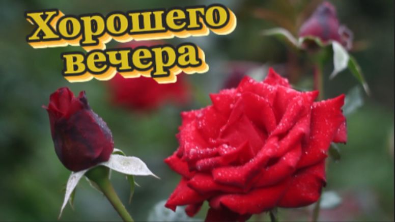 Хорошего и доброго вечера! смотреть онлайн
