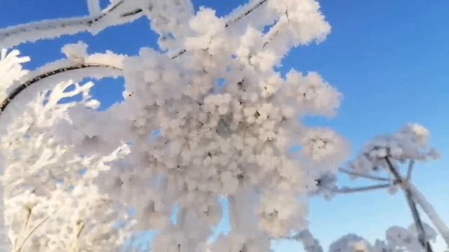 Сыктывкарская зима смотреть онлайн