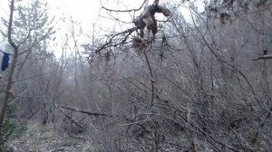 стихотворение ПРОСТО ТУМАНЯТИНА