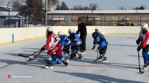 Муниципальные автобусы брендируют в Приморье.