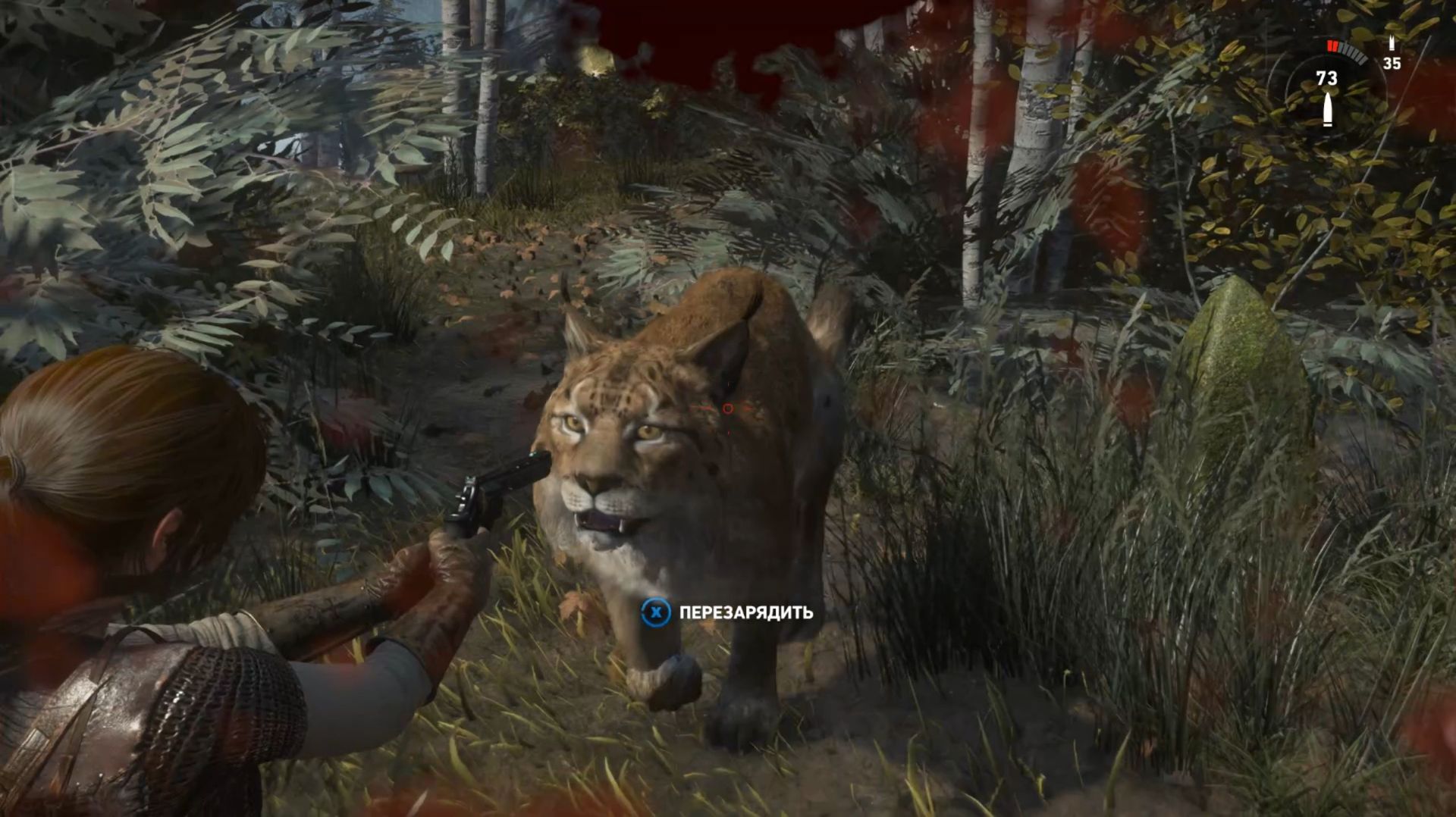 Rise of the Tomb Raider 10 часть: исследуйте долину. Оборонительная стратеги, Срыв разведки.