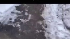 Как вас задержали, блестяще? Никак, я убежал!