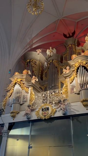 орган.mp4 смотреть онлайн