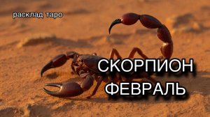 СКОРПИОН таро погноз на ФЕВРАЛЬ 2026 [расклад таро] [гадание онлайн]