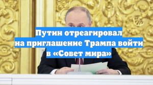 Путин отреагировал на приглашение Трампа войти в «Совет мира»