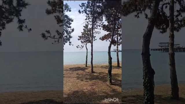 Поездка в Сухум смотреть онлайн