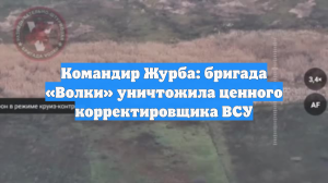 Командир Журба: бригада «Волки» уничтожила ценного корректировщика ВСУ