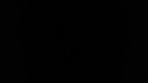 VID_20260122_114924.mp4