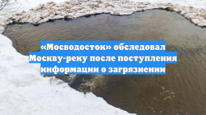 «Мосводосток» обследовал Москву-реку после поступления информации о загрязнении