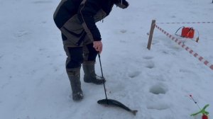 Видеообзор с водоема