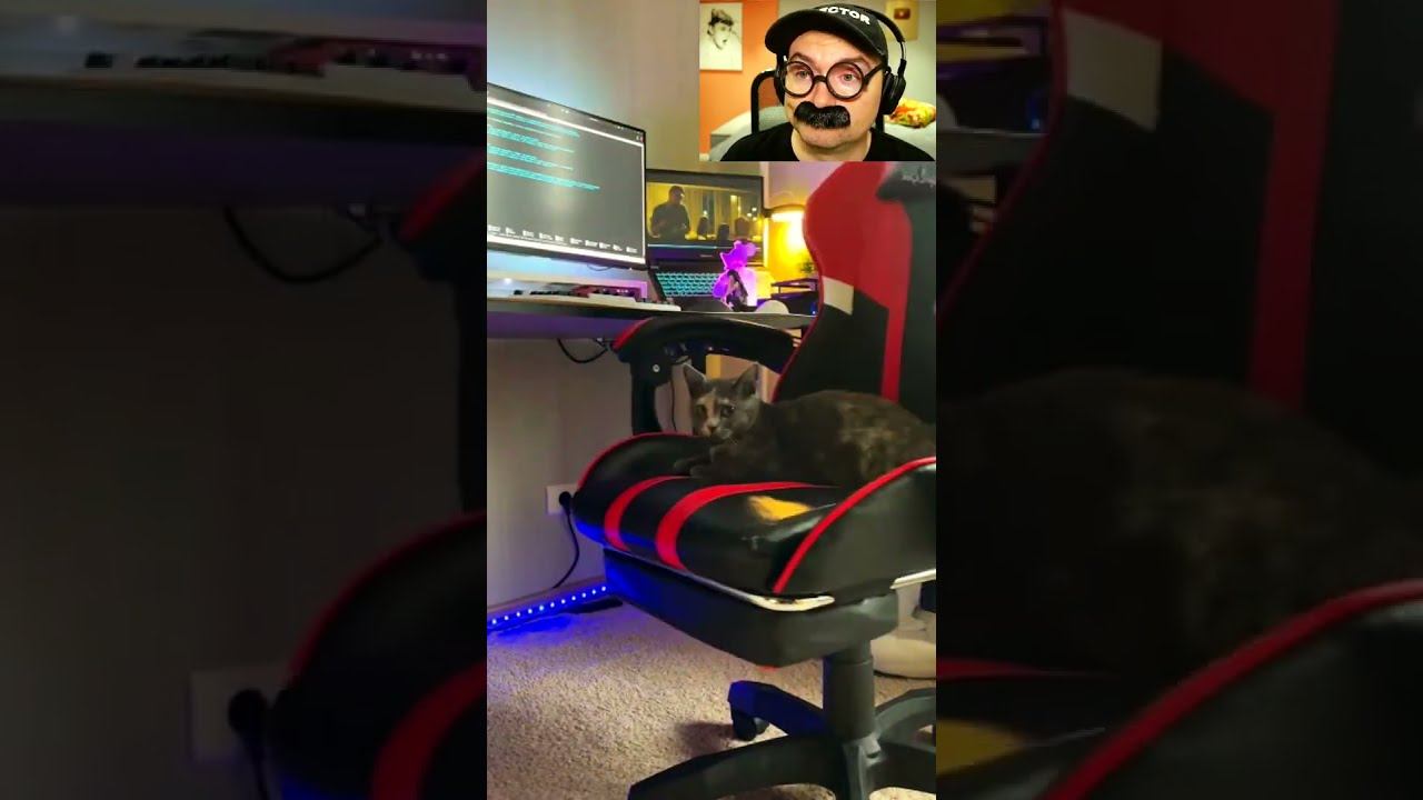 Прибыл Годжо Сатору смотреть онлайн