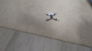 Я и квадрокоптер