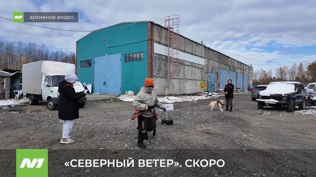 Соревнования для собак «Северный ветер». Скоро. Нижневартовск смотреть онлайн